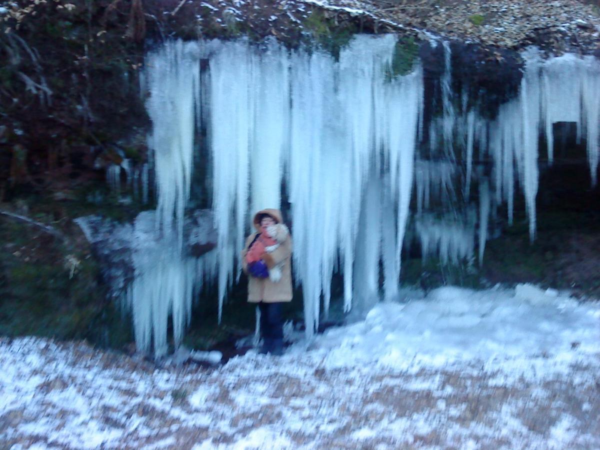A L'Ombre De La Cascade Apartment Lemberg Bagian luar foto